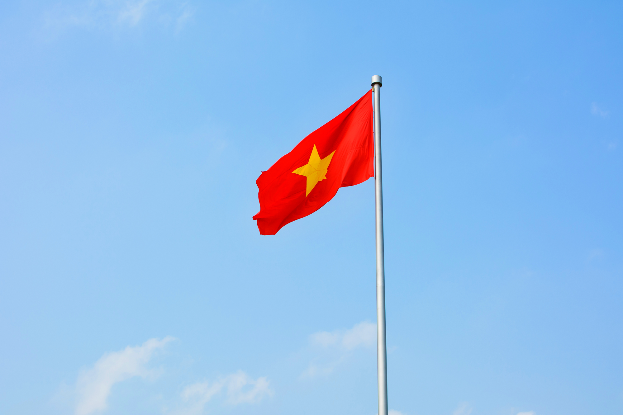 Vietnam flag