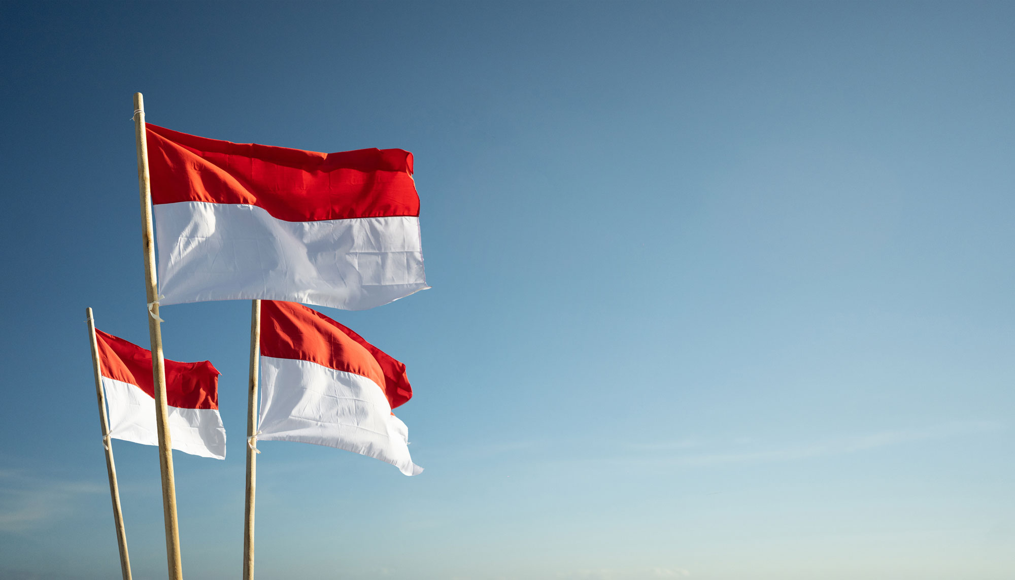 indonesian flag