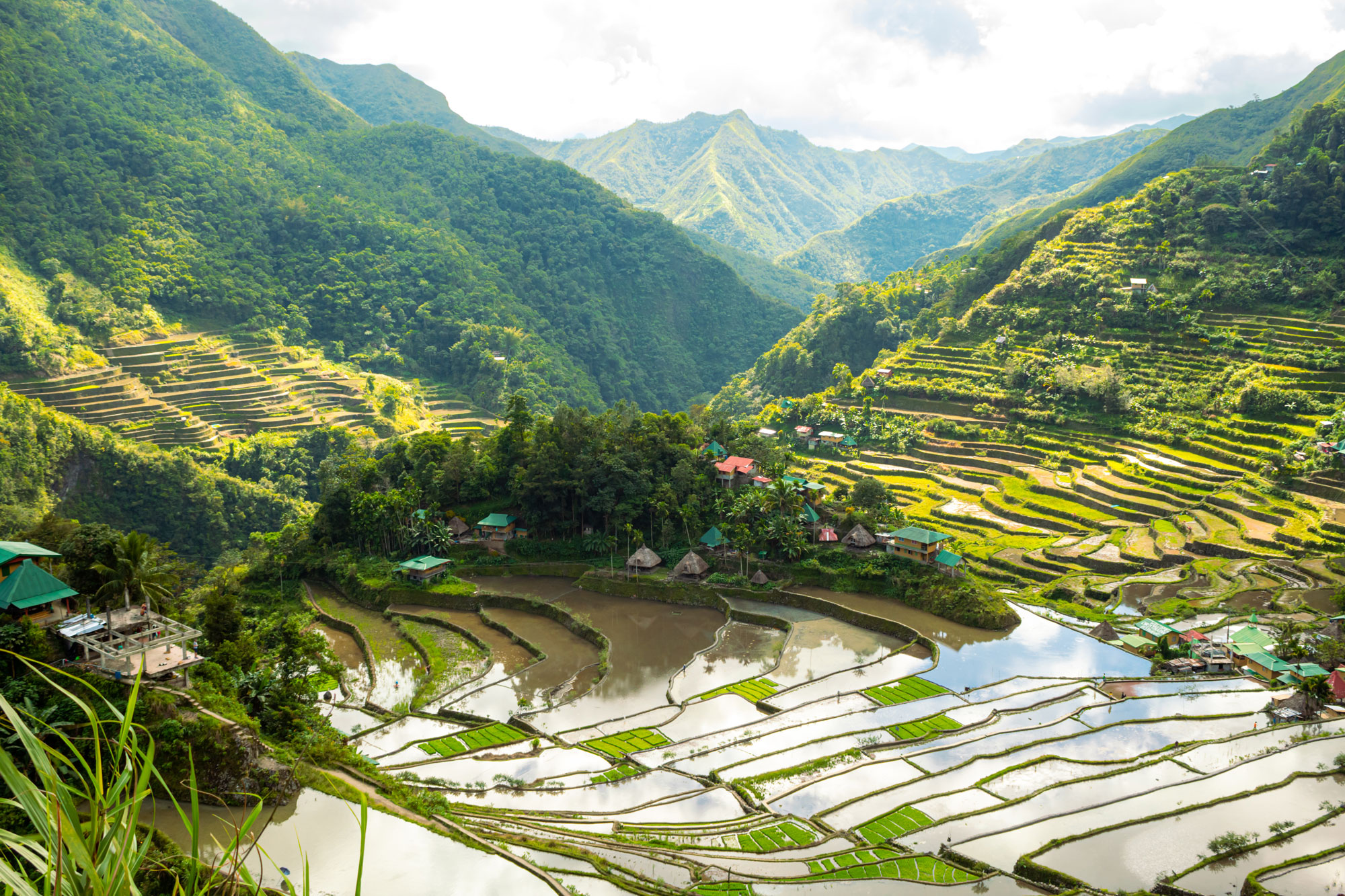 banaue rice terraces