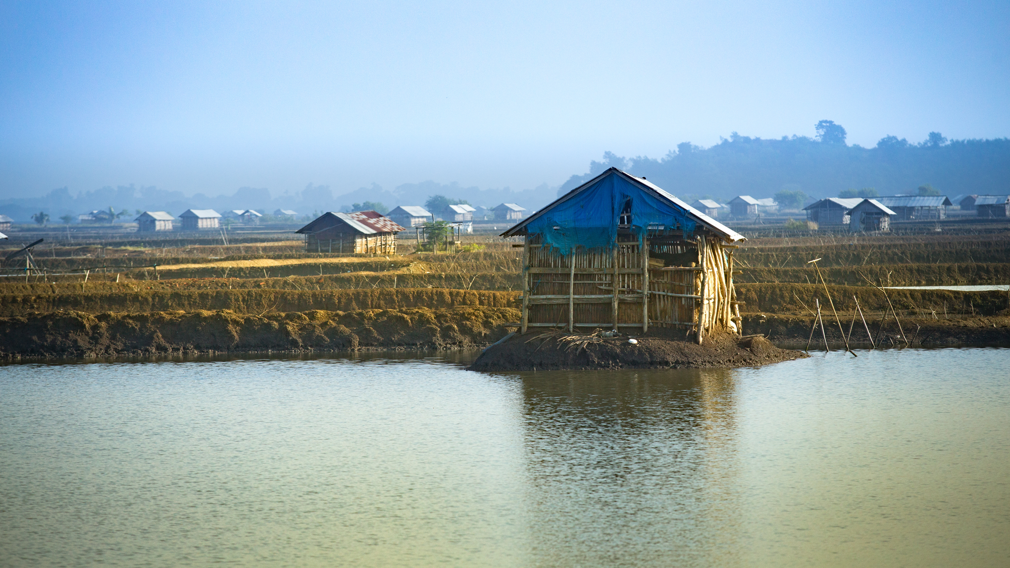 shrimp farm indonesia