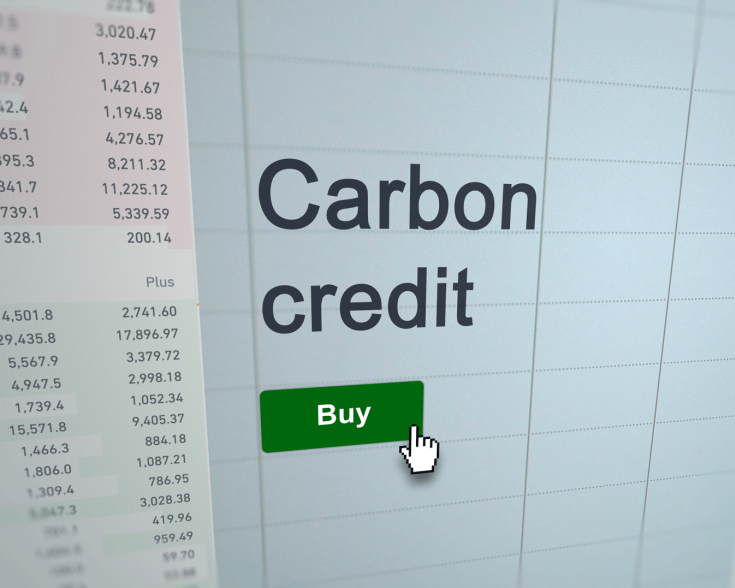 carbon credit