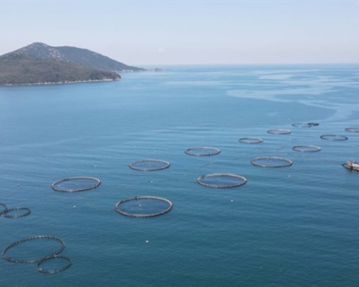 aqua farm viet