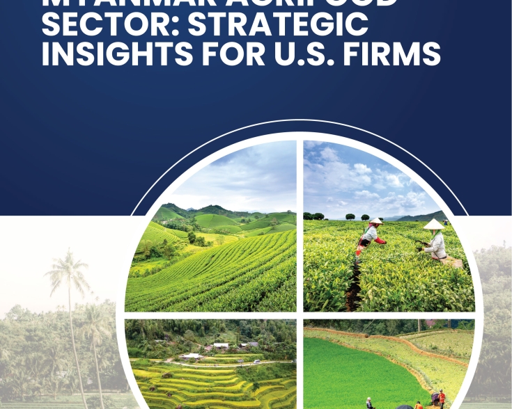 Myanmar-Agriculture-Fellowship_Sep-2025 cover