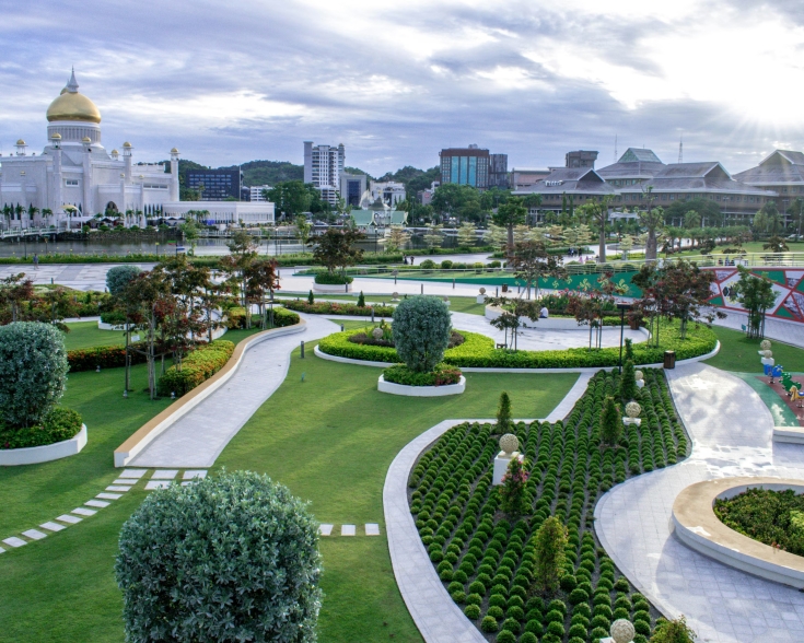 brunei healthcare
